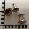 Rivets